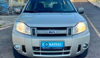 Ford EcoSport XLT Freestyle [2008] cheio