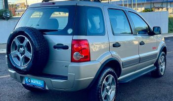 Ford EcoSport XLT Freestyle [2008] cheio