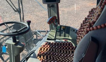 Colheitadeira Massey Ferguson 32 Advanced [2016] a2020 cheio
